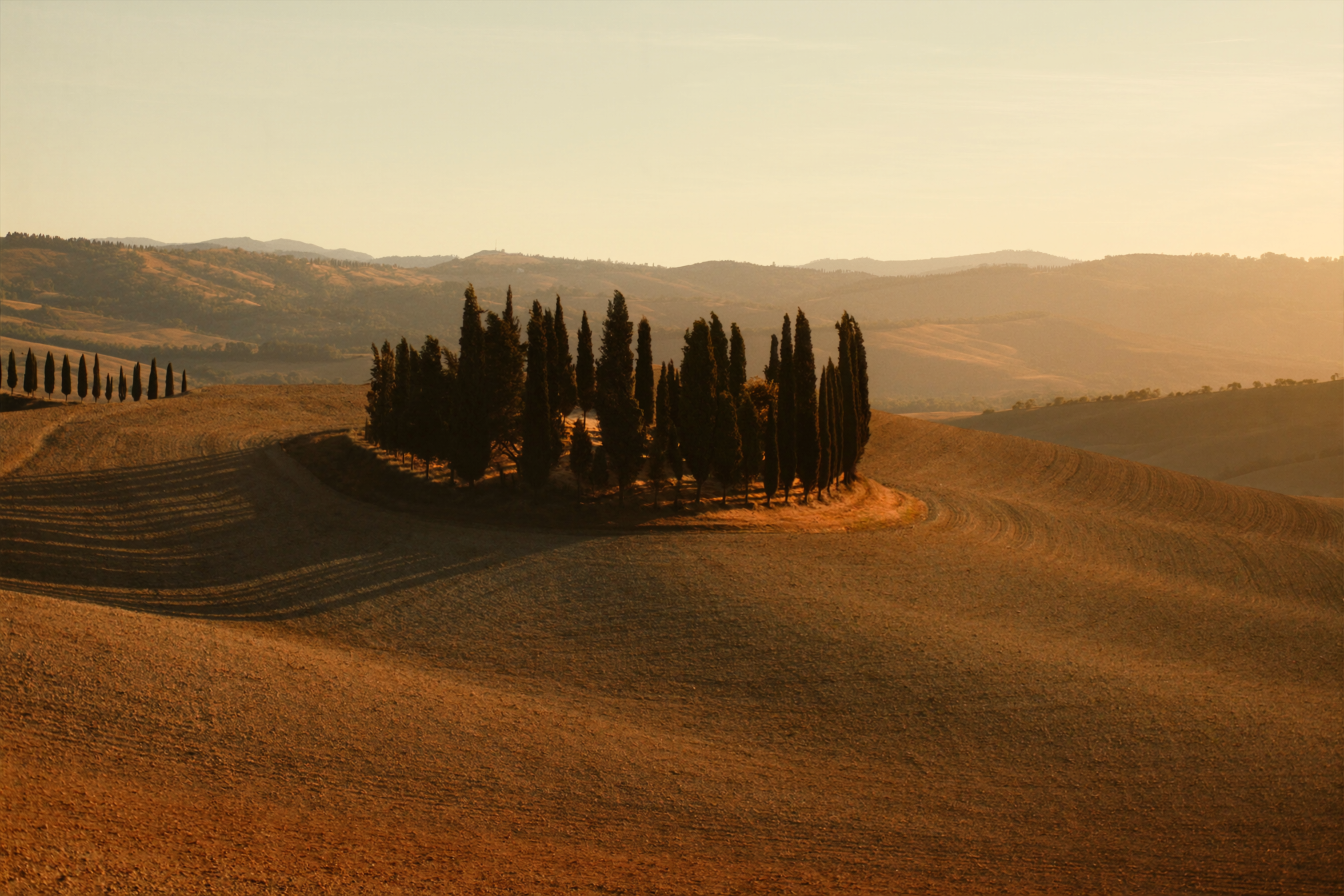 Warm golden hour light raking across the rolling hills of Val d'Orcia, Tuscany, with cypress trees casting long shadows