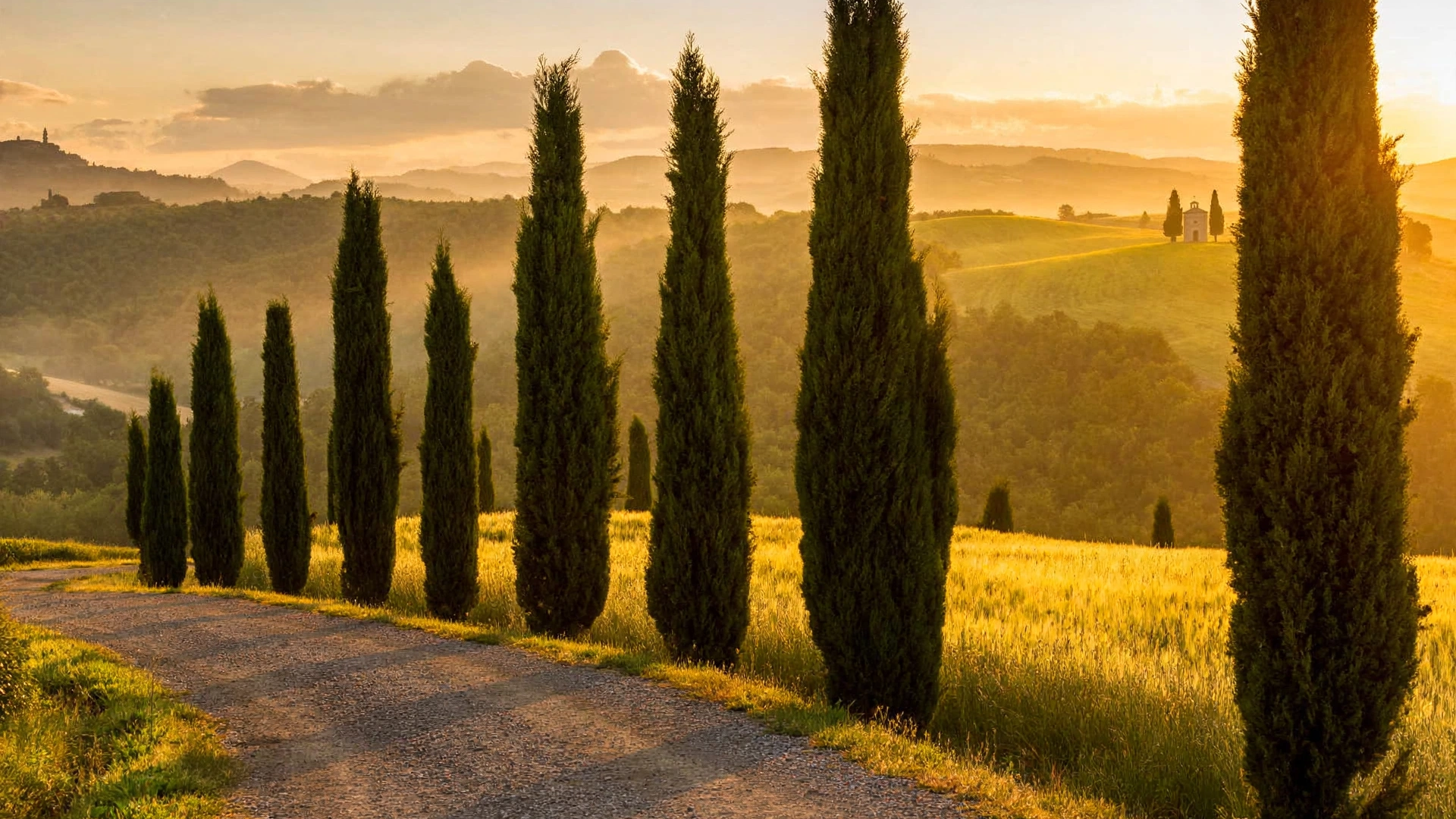 Layered rolling hills of Val d'Orcia at sunrise with a cypress row anchoring the foreground
