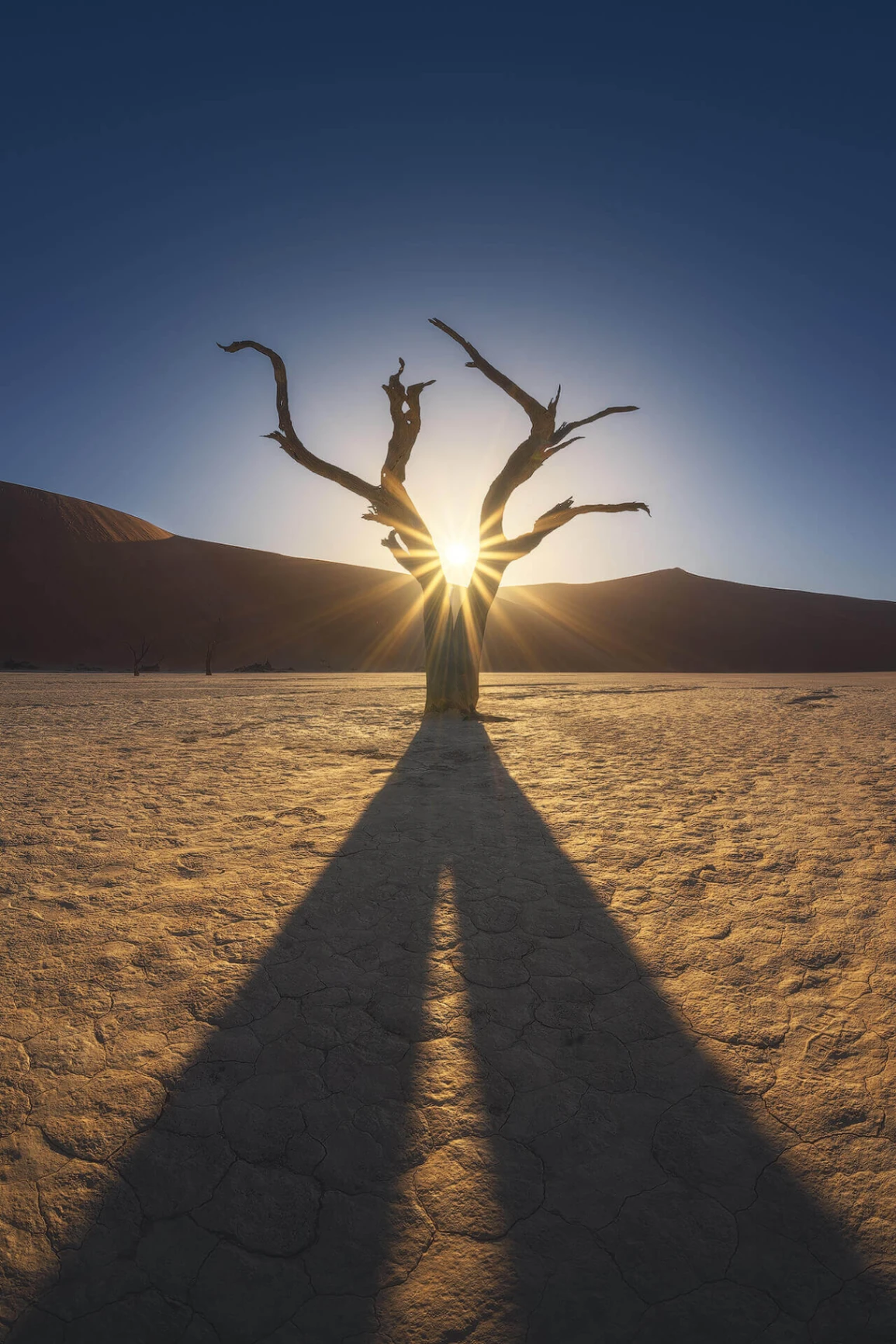 Giacomo Finotti's photography - Image 1