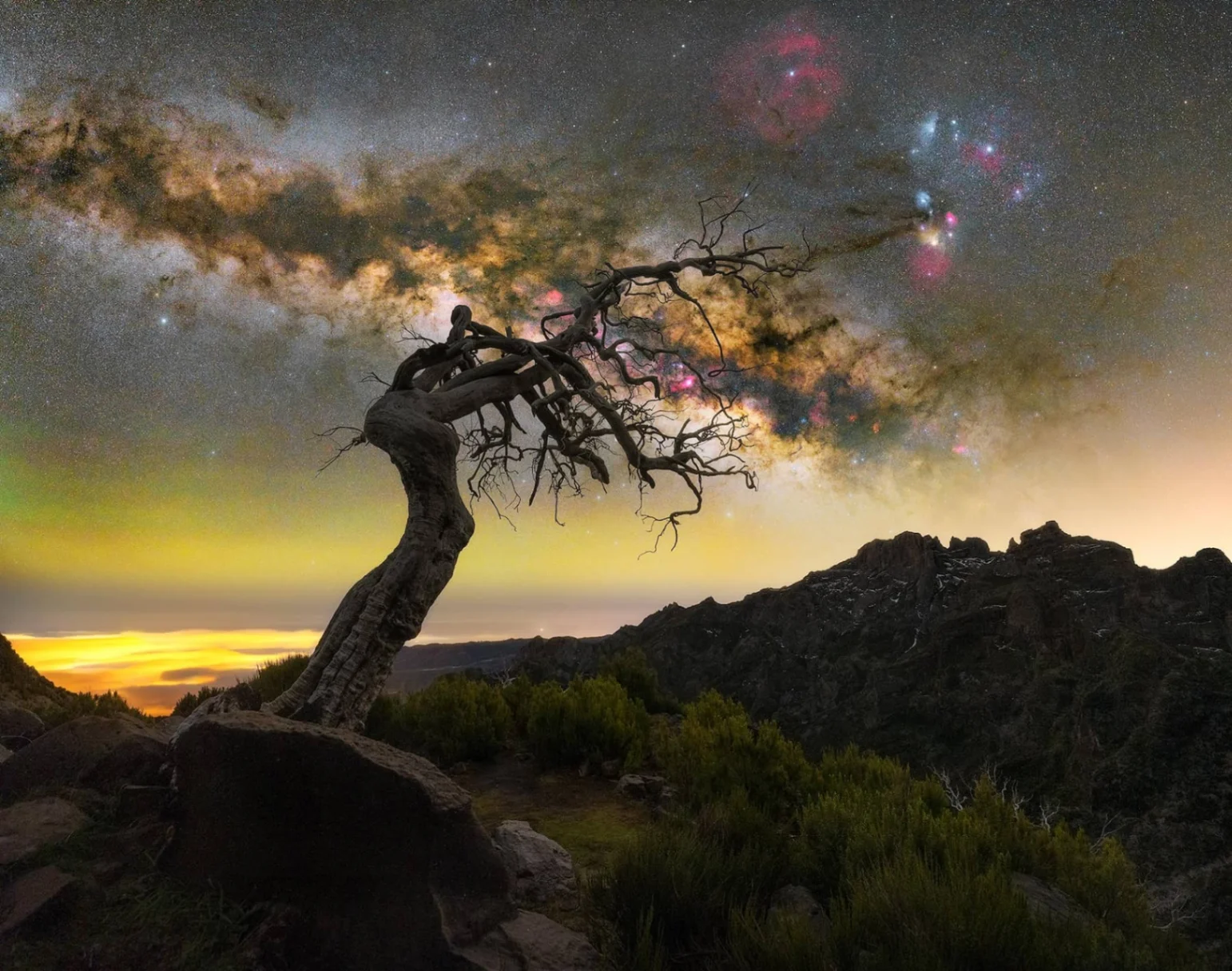 Lorenzo Ranieri Tenti's photography - Image 1