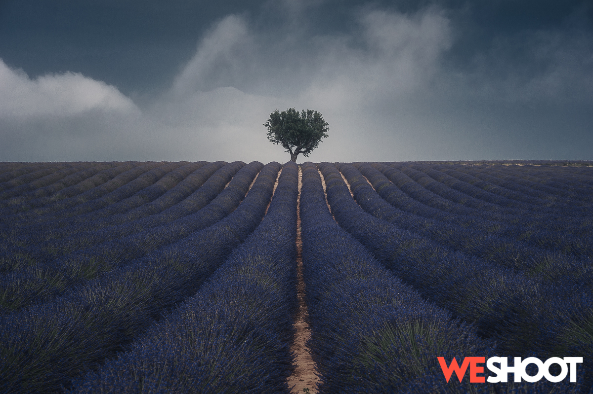 Marco Carotenuto's photography - Image 1