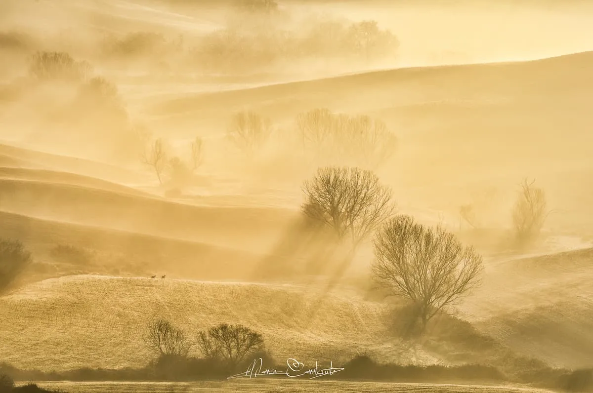 Marco Carotenuto's photography - Image 5