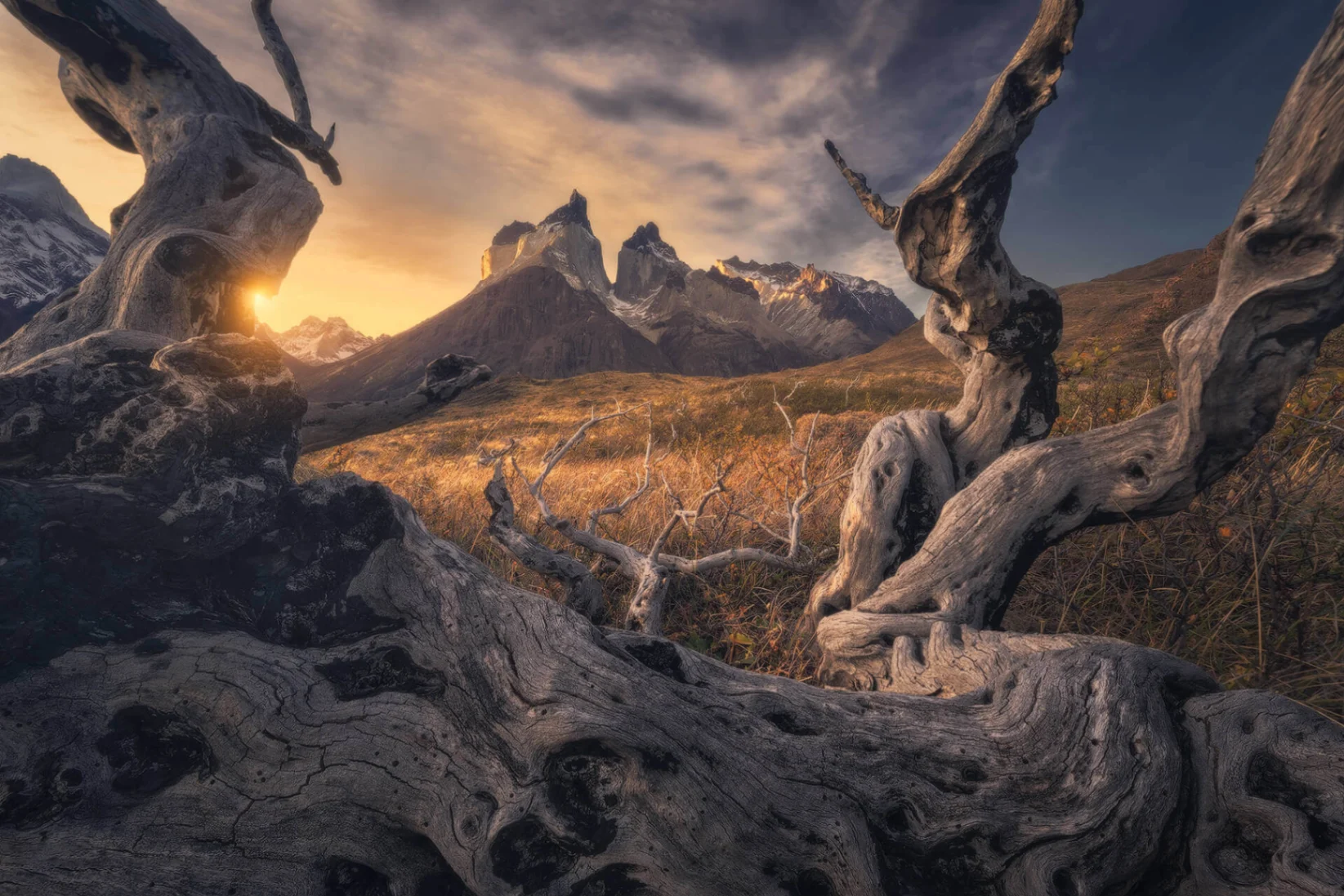 Giacomo Finotti's photography - Image 5