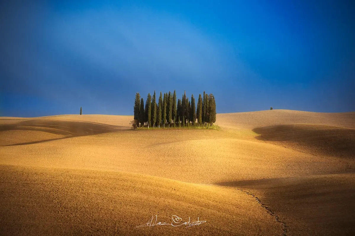 Marco Carotenuto's photography - Image 4