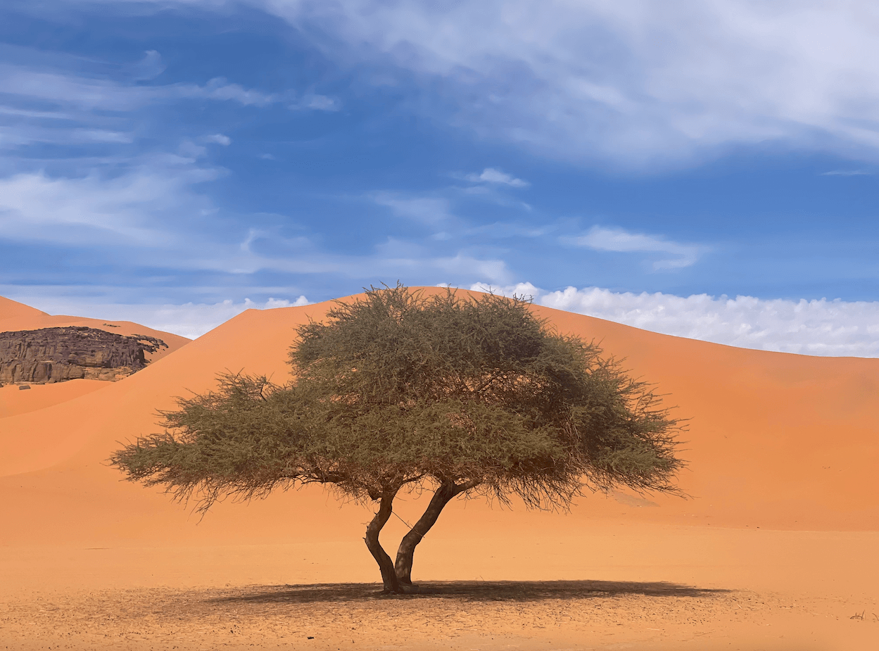 Behind the scenes 10