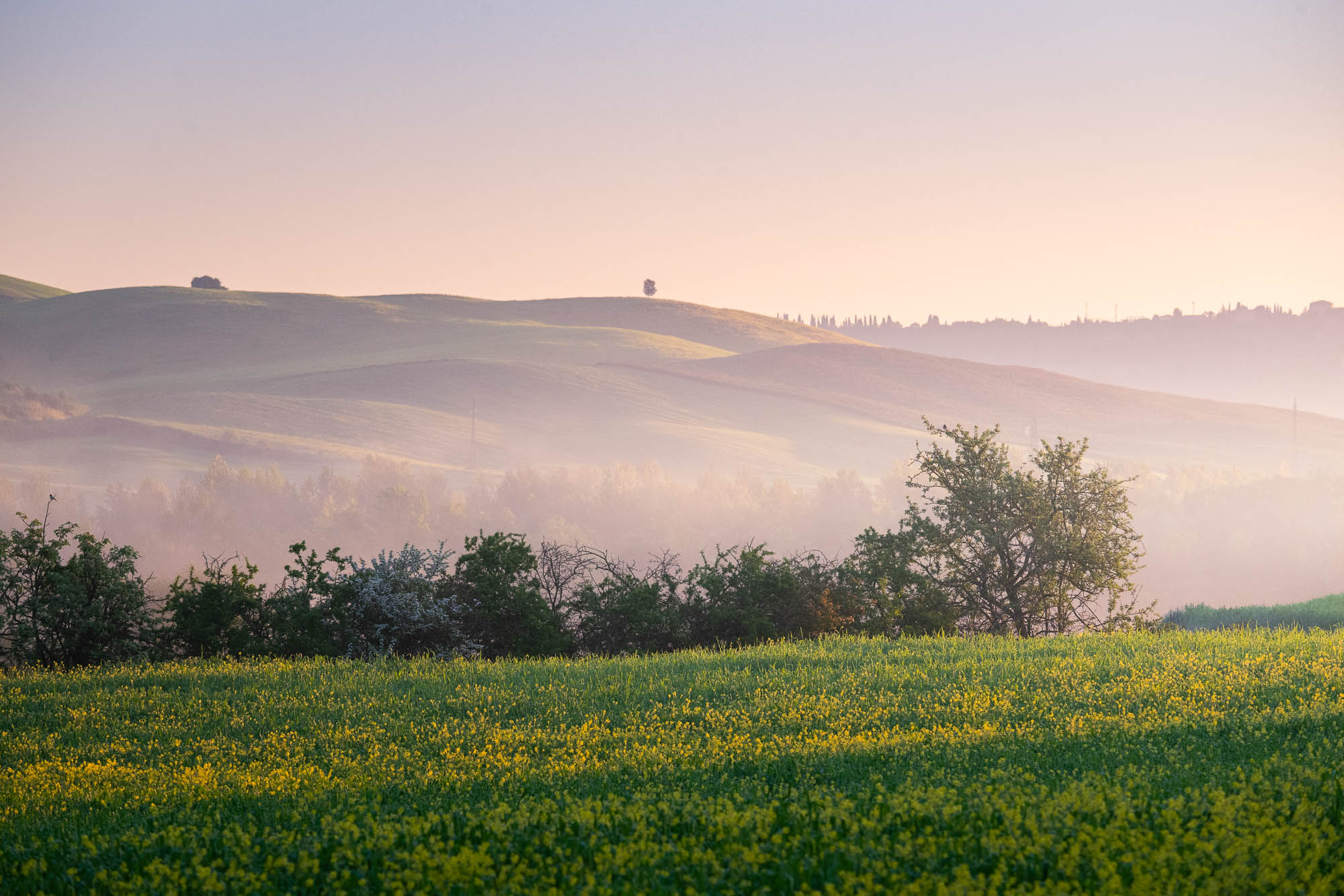 Sunrise on the Hills and wine tasting at Tassi Winery - Image 6