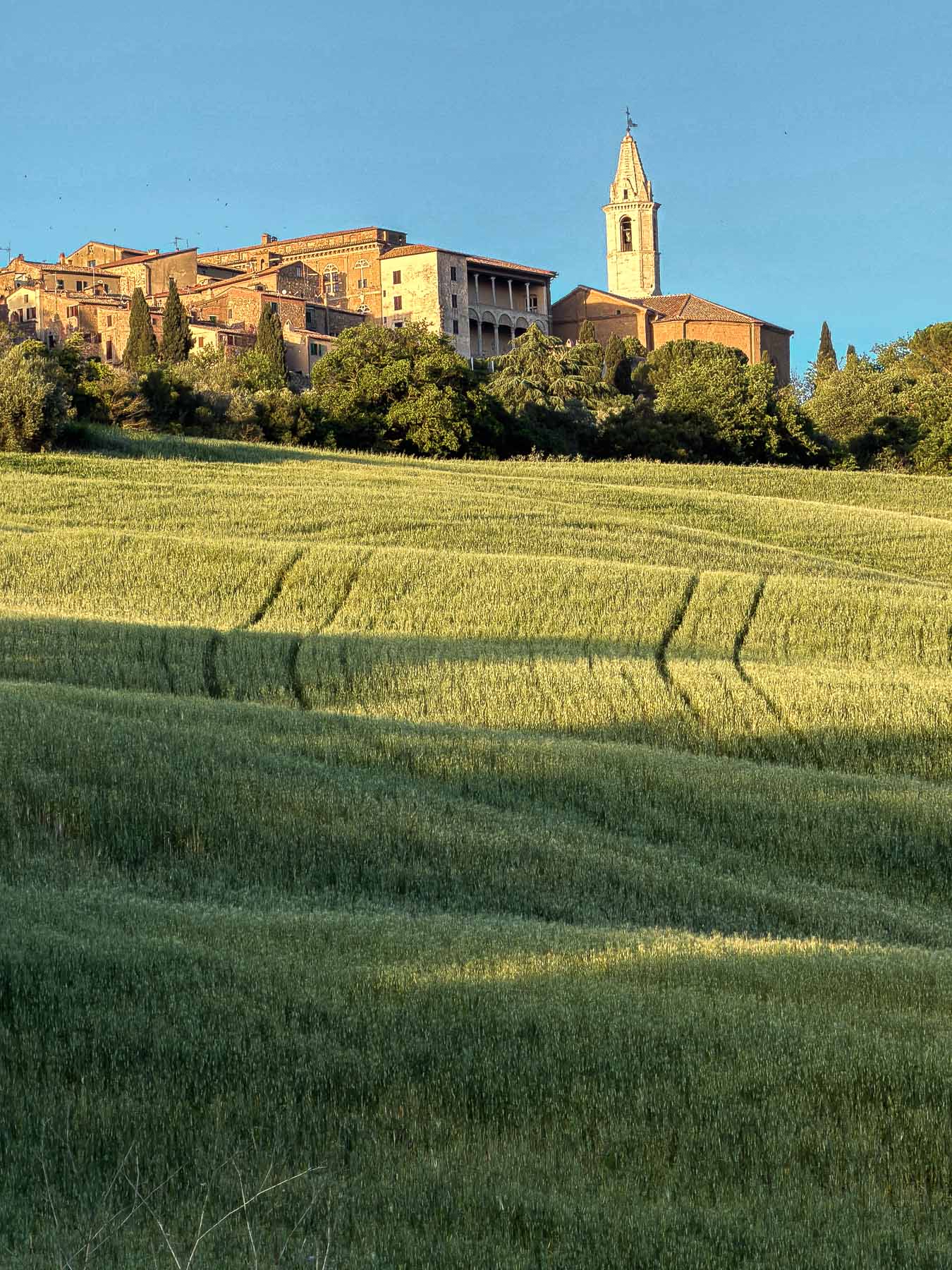 Cappella Vitaleta & Montalcino Fortress Views - Image 5