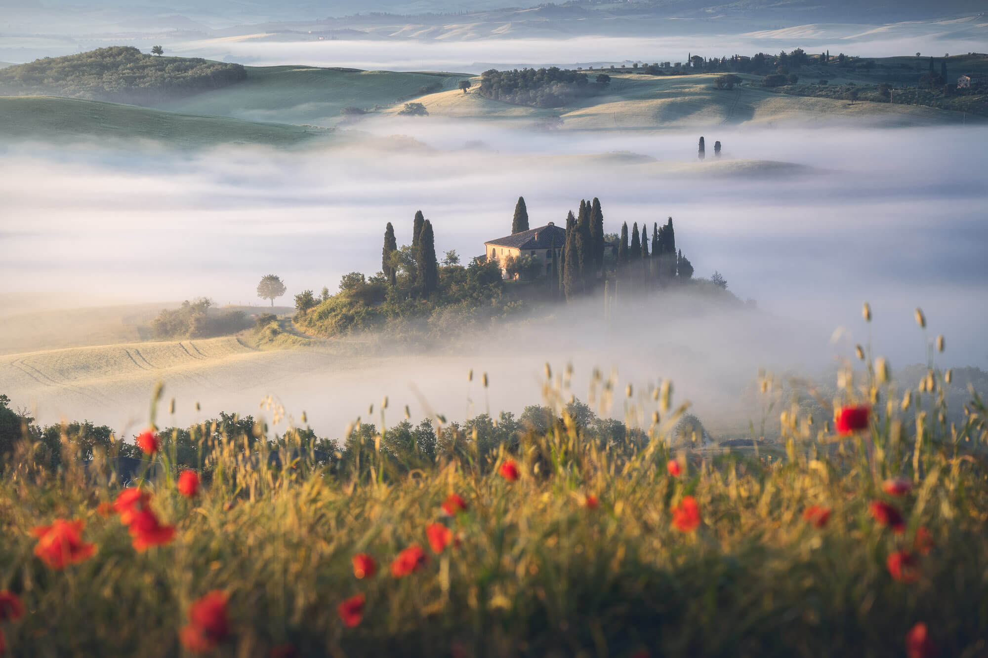  Podere Belvedere, San Quirico  - Image 5