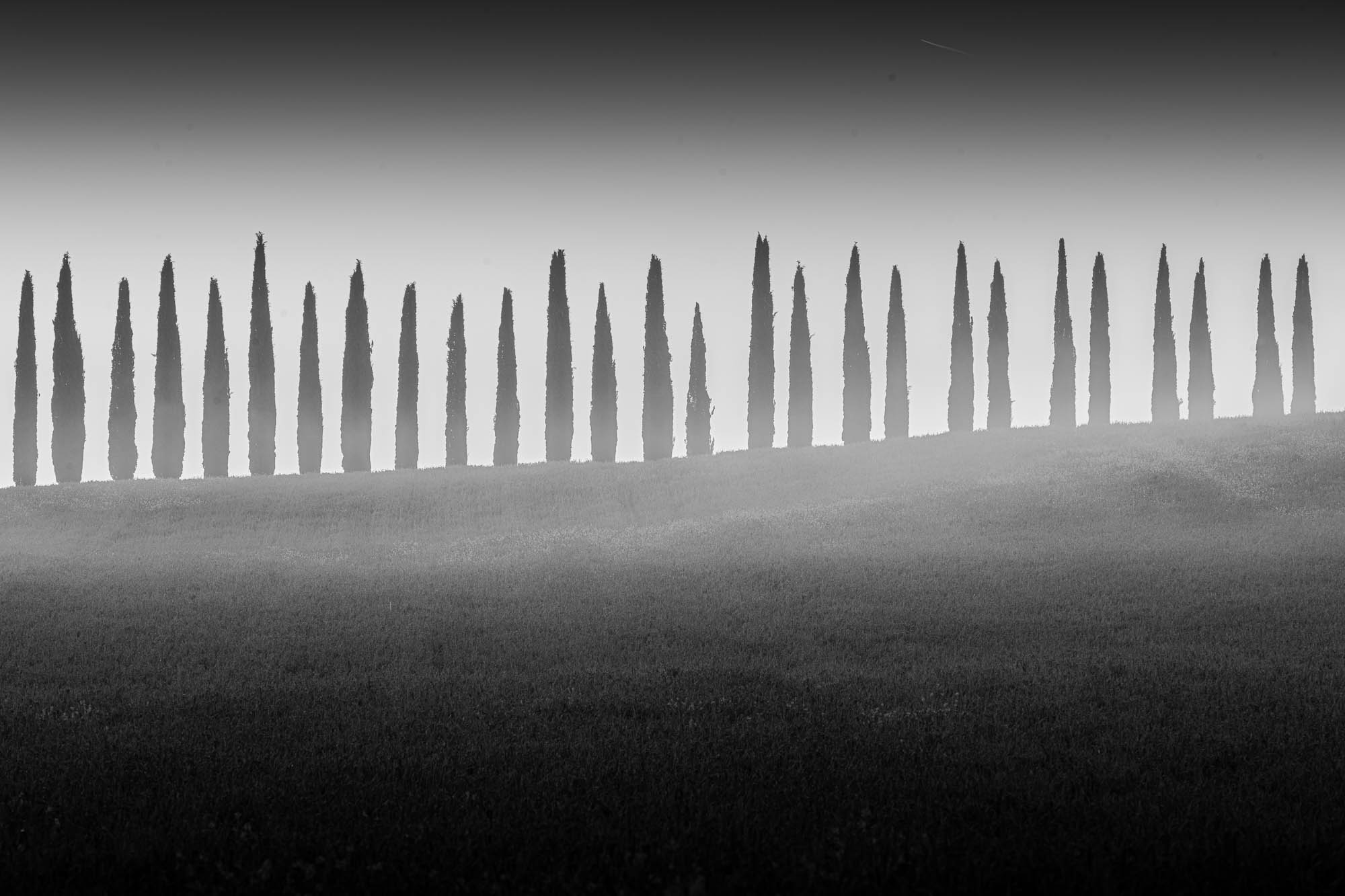  Podere Belvedere, San Quirico  - Image 2
