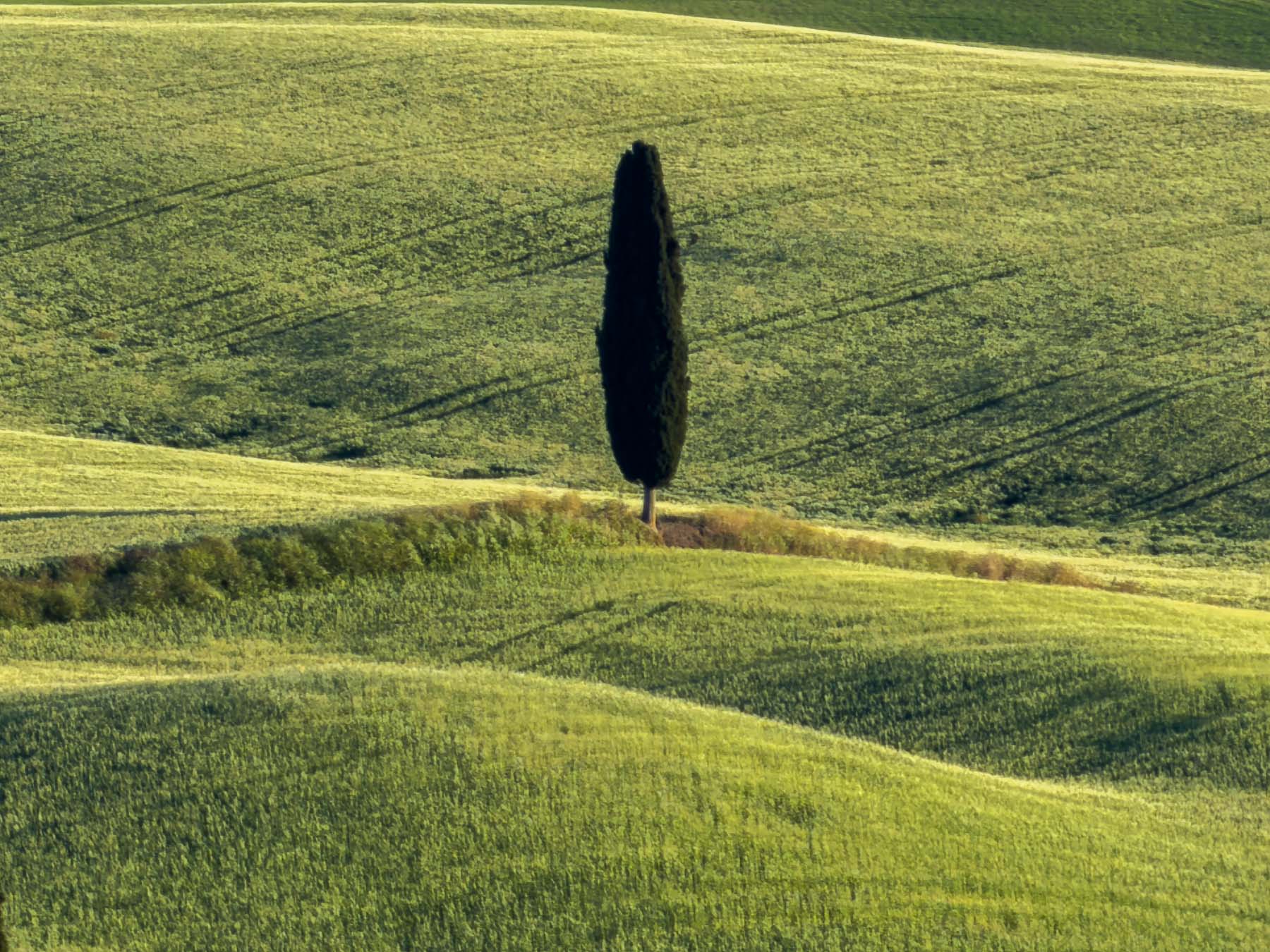 Cappella Vitaleta & Montalcino Fortress Views - Image 3