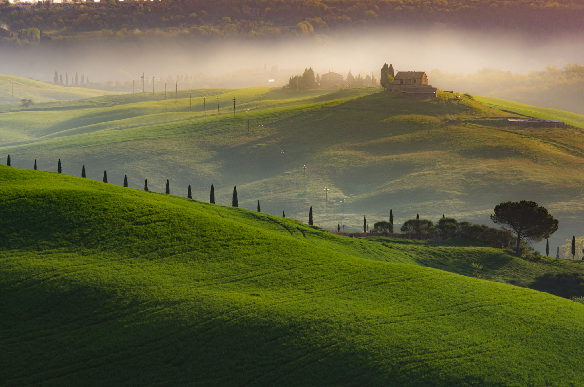 Crete Senesi, Siena or San Gimignano - Image 2