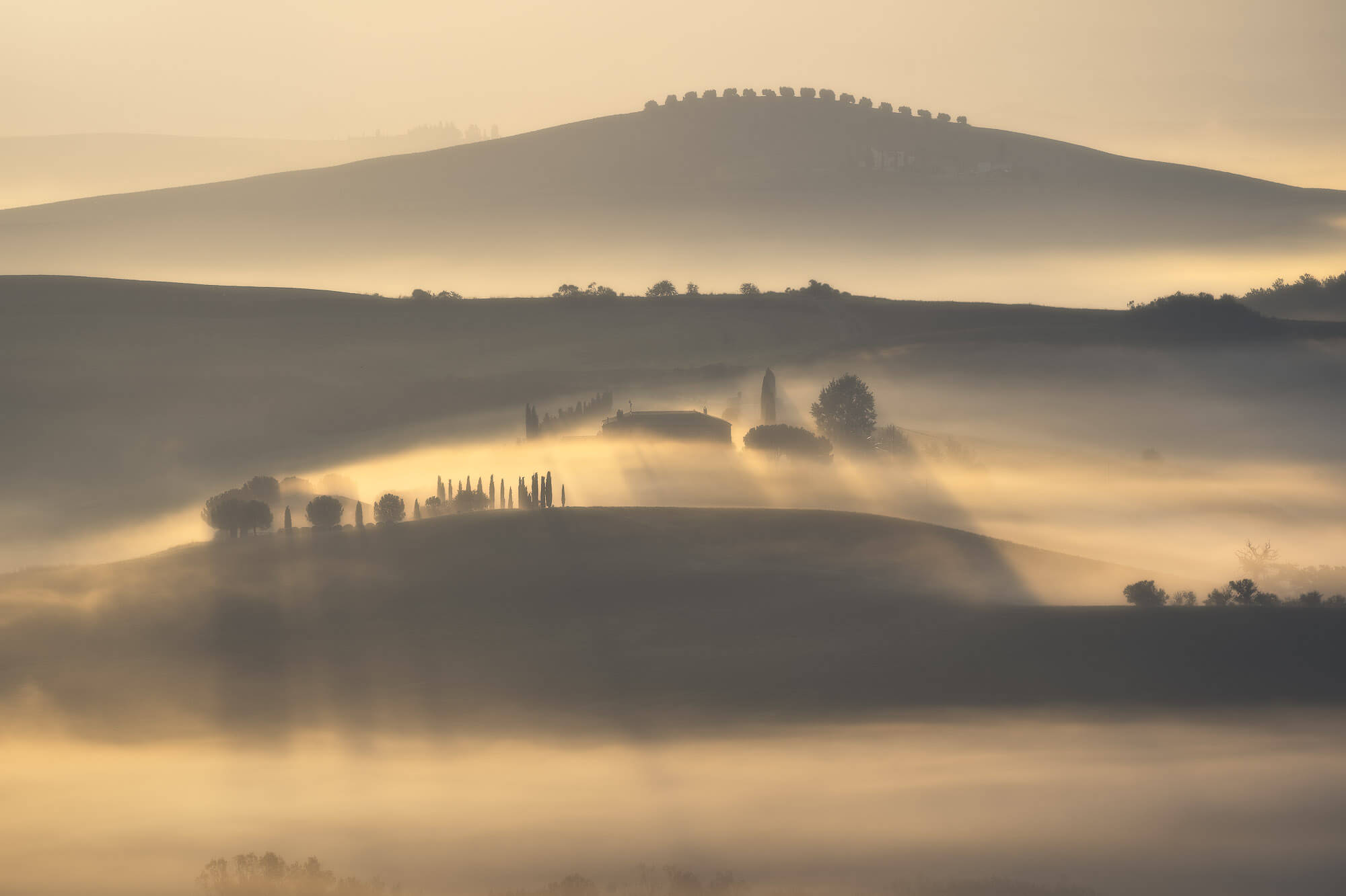 Sunrise on the Hills and wine tasting at Tassi Winery - Image 1