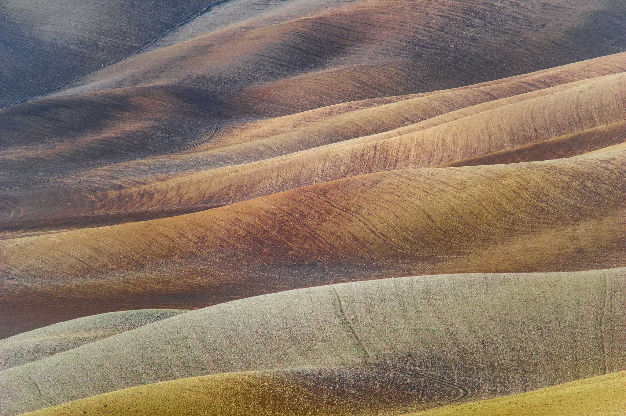 Crete Senesi, Siena or San Gimignano - Image 1