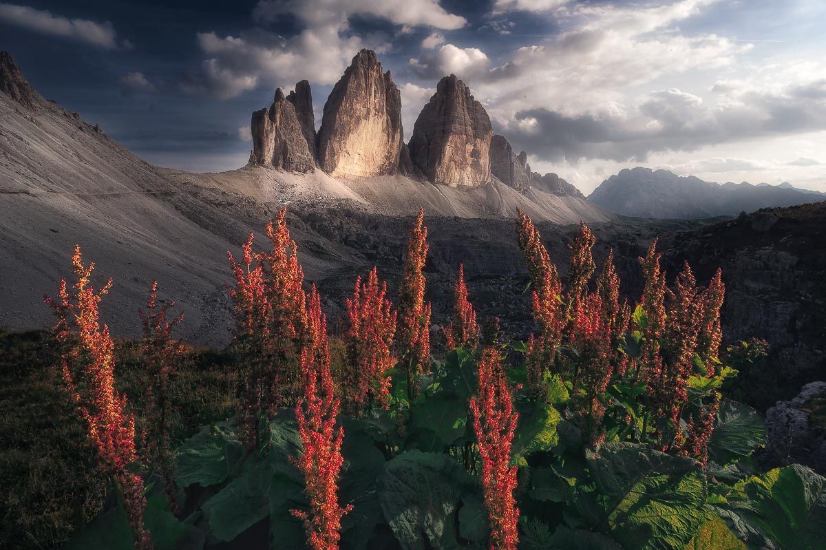 Tre Cime di Lavaredo - Image 3